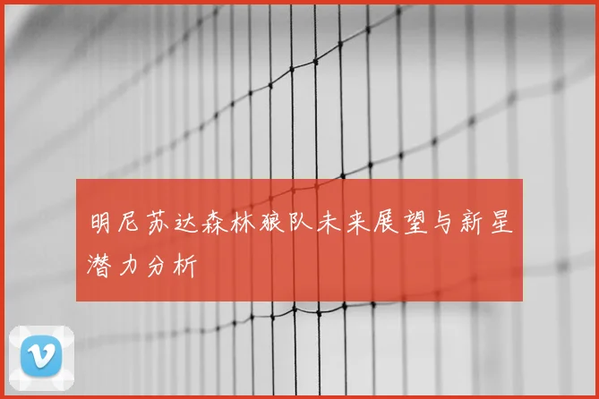 明尼苏达森林狼队未来展望与新星潜力分析